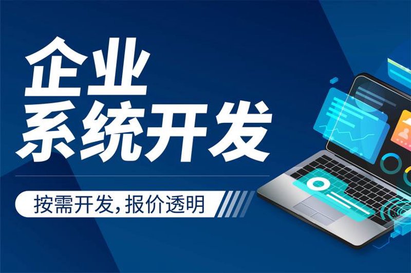 管理系统定制：提升企业运营效率的利器